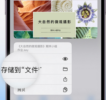 平定apple维修中心分享iPhone文件应用中存储和找到下载文件