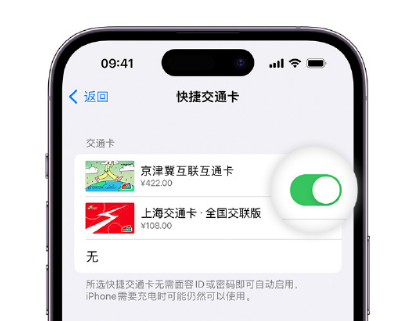 平定apple维修点分享iPhone上更换Apple Pay快捷交通卡手绘卡面 