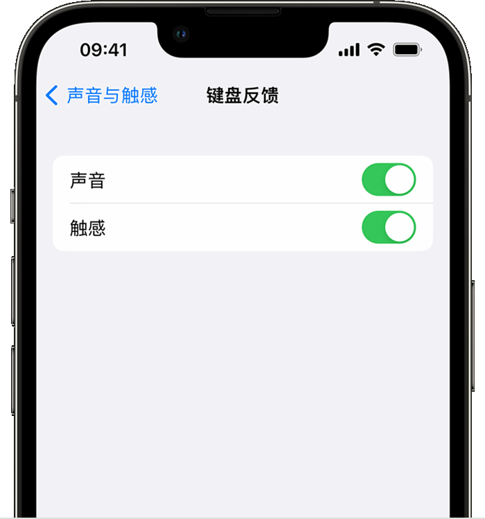 平定苹果14维修店分享如何在 iPhone 14 机型中使用触感键盘 