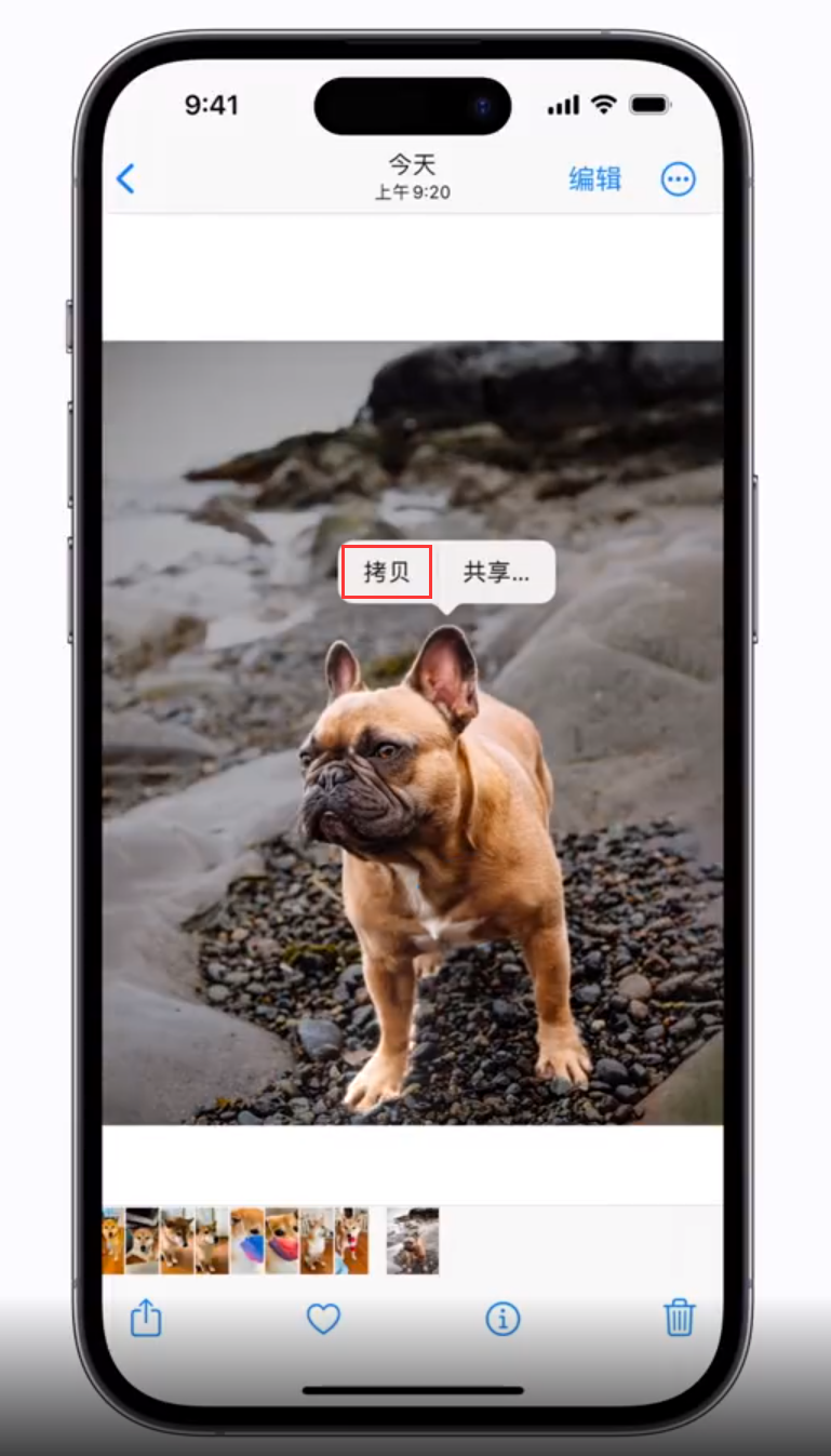 平定苹果手机维修分享 iOS 16 自带一键抠图功能 