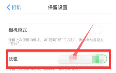 平定苹果13维修分享iPhone13拍照有绿点是怎么回事 