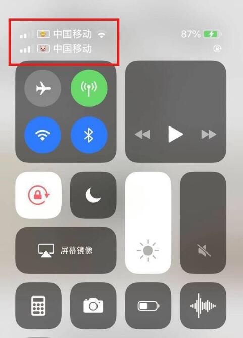 平定苹果手机维修分享为 iPhone 12 双卡设置标签 